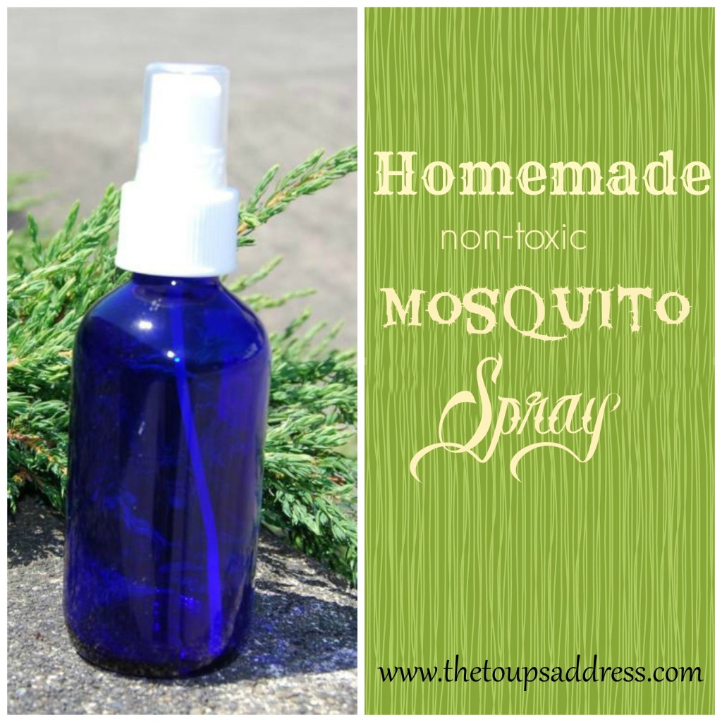 Homemade Mosquito Spray - The Toups Address